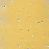 ORO ZECCHINO SFUMATO ARGENTO